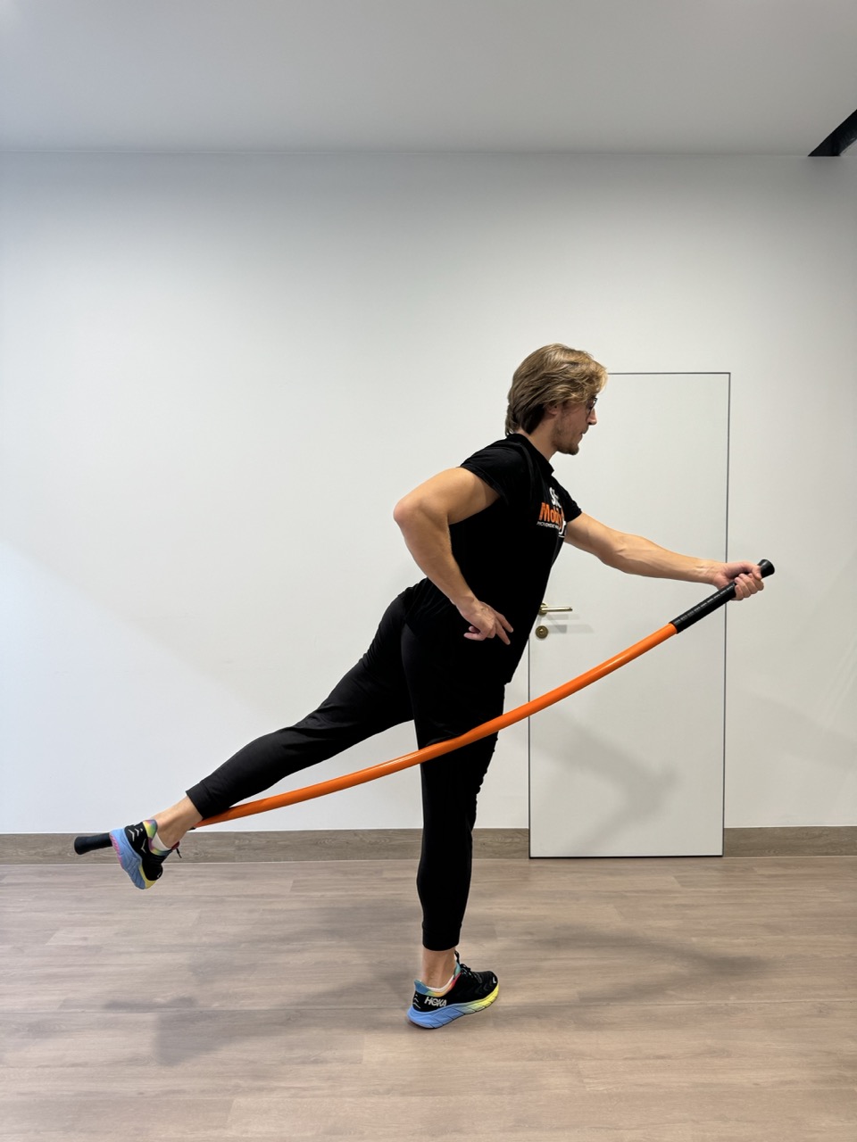 Stick Mobility